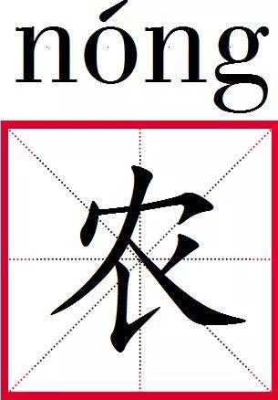耕耘大婶的肥沃的土地是什么意思耕耘大婶的肥沃土地——耕耘与收获的诗意画卷-第3张图片