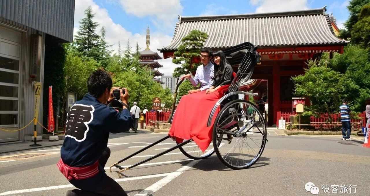 探索日本一卡一卡二新区，仙踪林网中的文化与现象-第3张图片