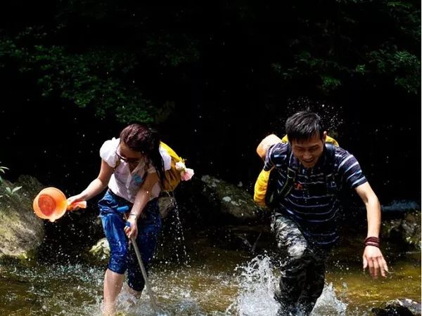花蝴蝶在线视频免费观看的探索之旅-第1张图片