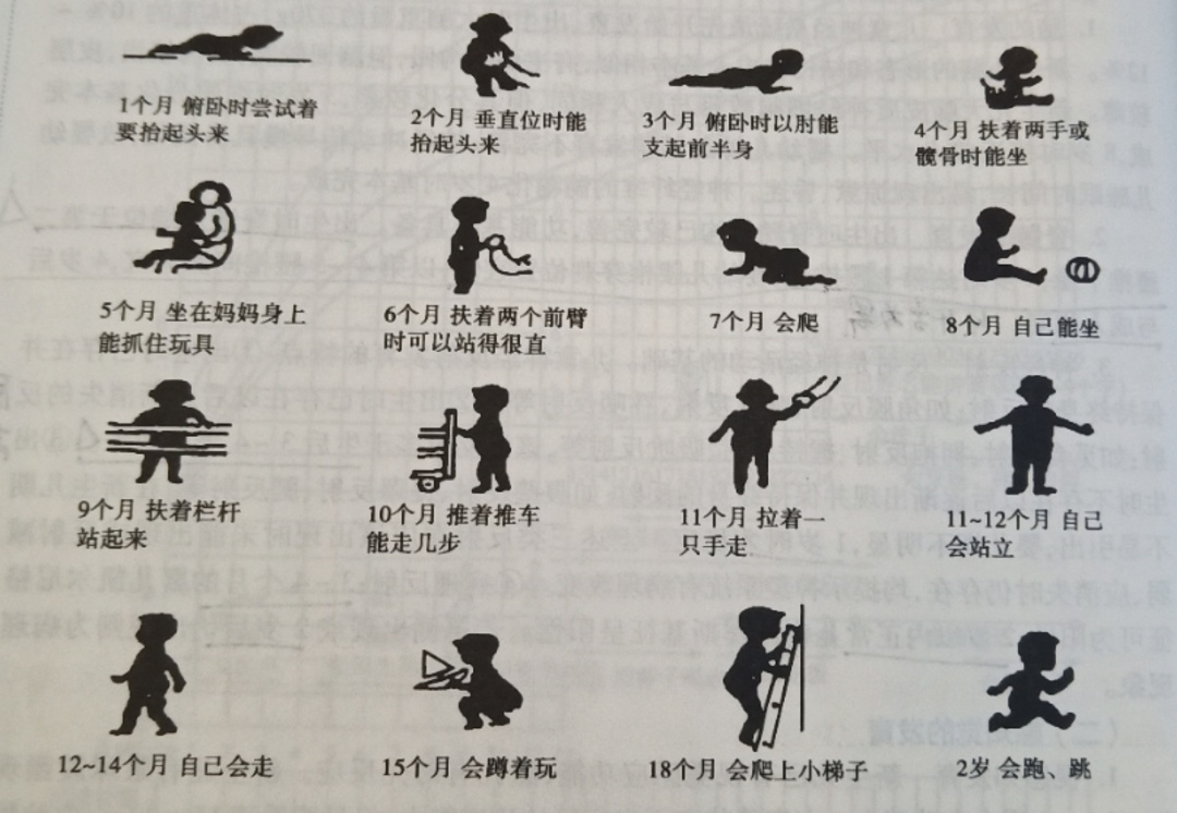 宝宝把腿抬起来靠墙上怎么回事宝宝抬腿靠墙的背后原因-第3张图片