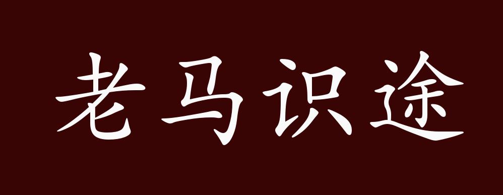 老马的春天顾晓婷的更新时间老马的春天与顾晓婷的更新时刻