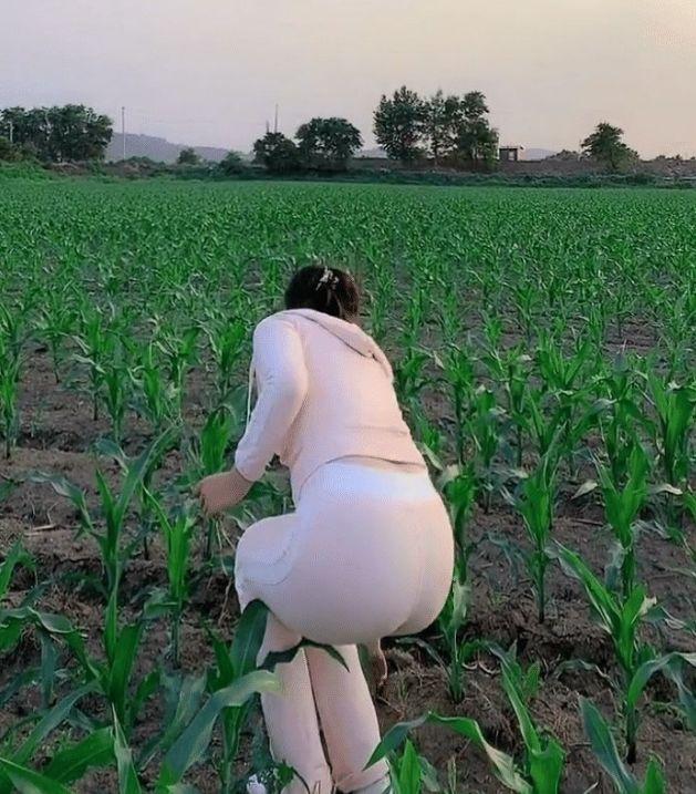 探索极品妇女的粉嫩小泬