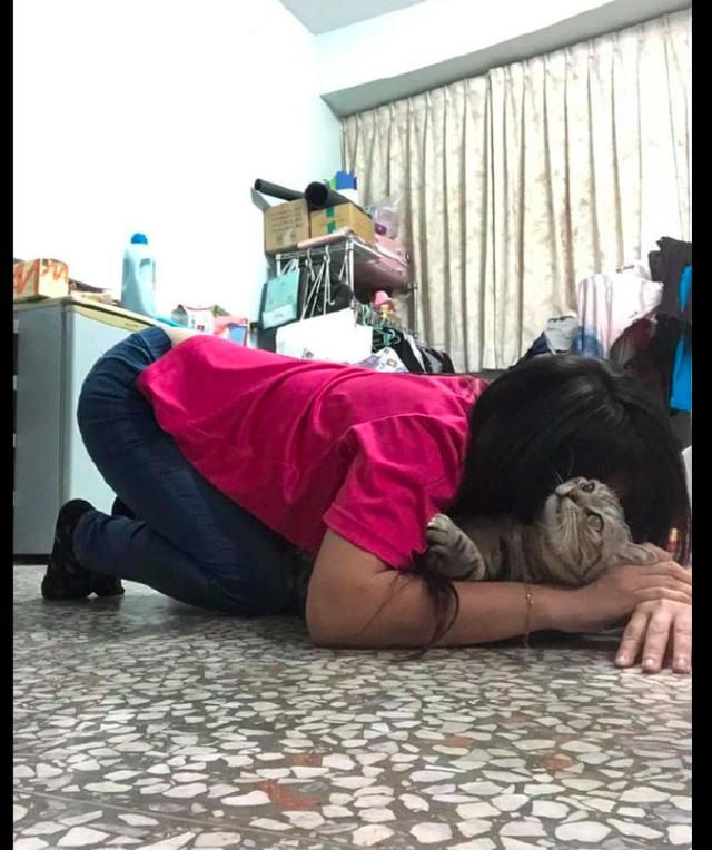 主人的教诲——跪好，是否知道错了？-第2张图片