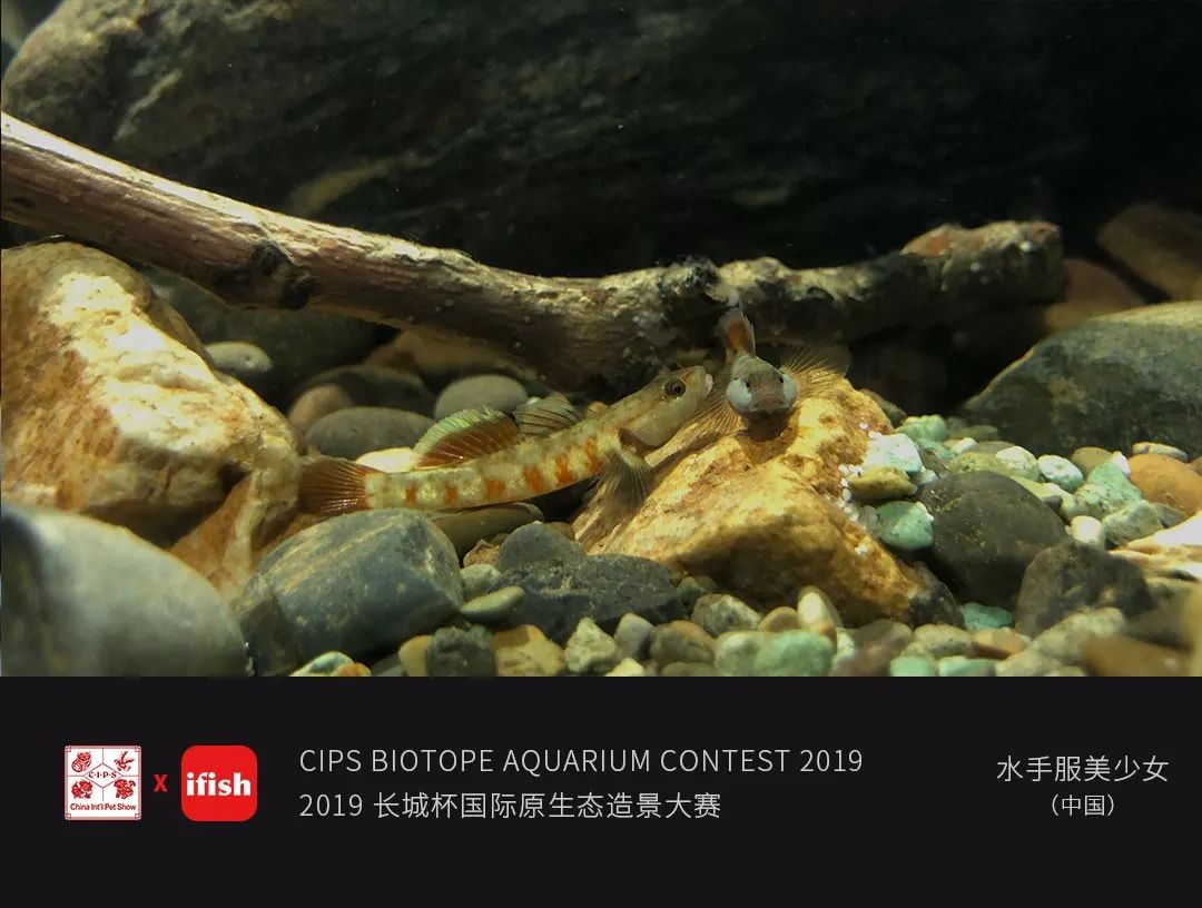 探索ZON100.COM，一个全方位的在线服务平台-第1张图片