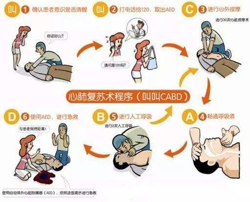 6t6h心脏骤停探索6T6的奥秘-第2张图片