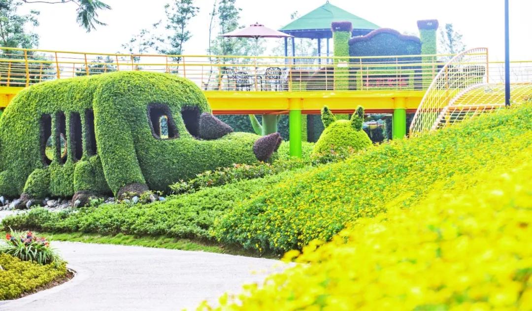 植物精灵攻略，解锁你的绿色宝藏-第2张图片