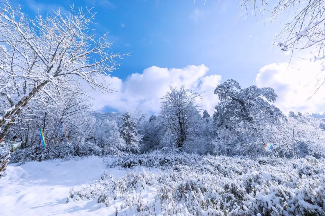 雪踪秘境攻略雪踪秘境探险攻略