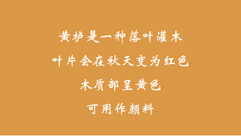 探索色中色的最新发展-第2张图片