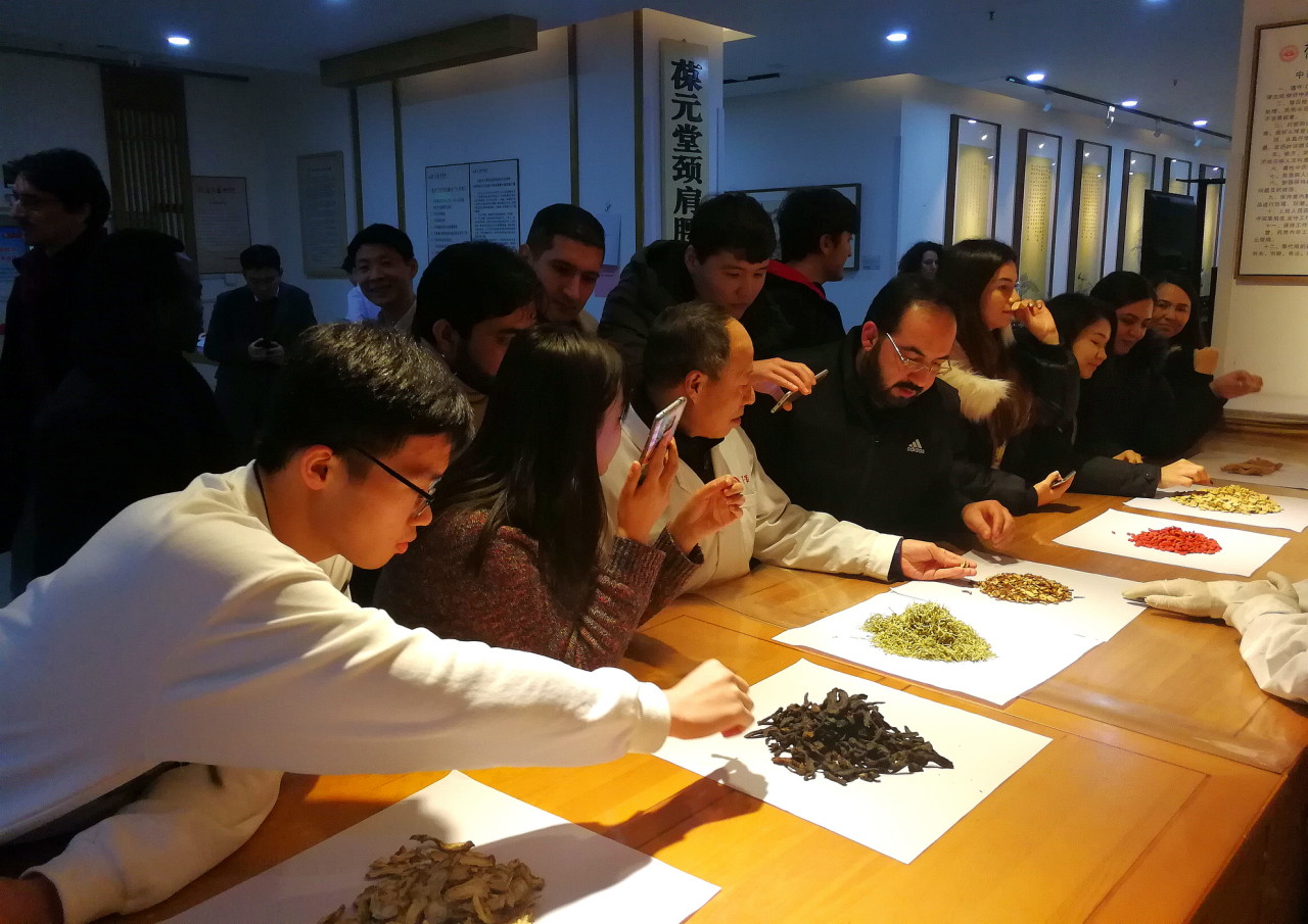 外国老人接受文化与生活的独特体验