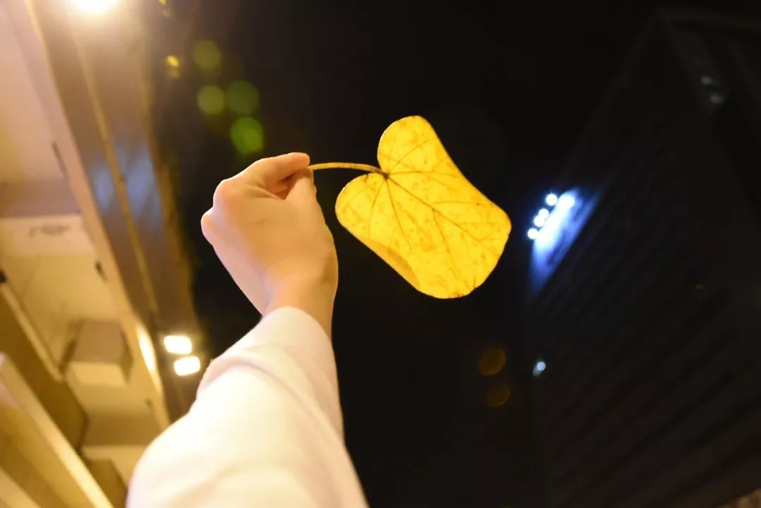 不怕粗短就怕大头大头之魅，不怕粗短，只怕大头-第1张图片