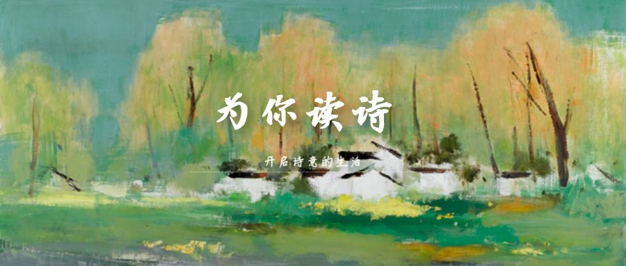 为你读诗官网为你读诗官网，诗意生活的美好入口-第2张图片