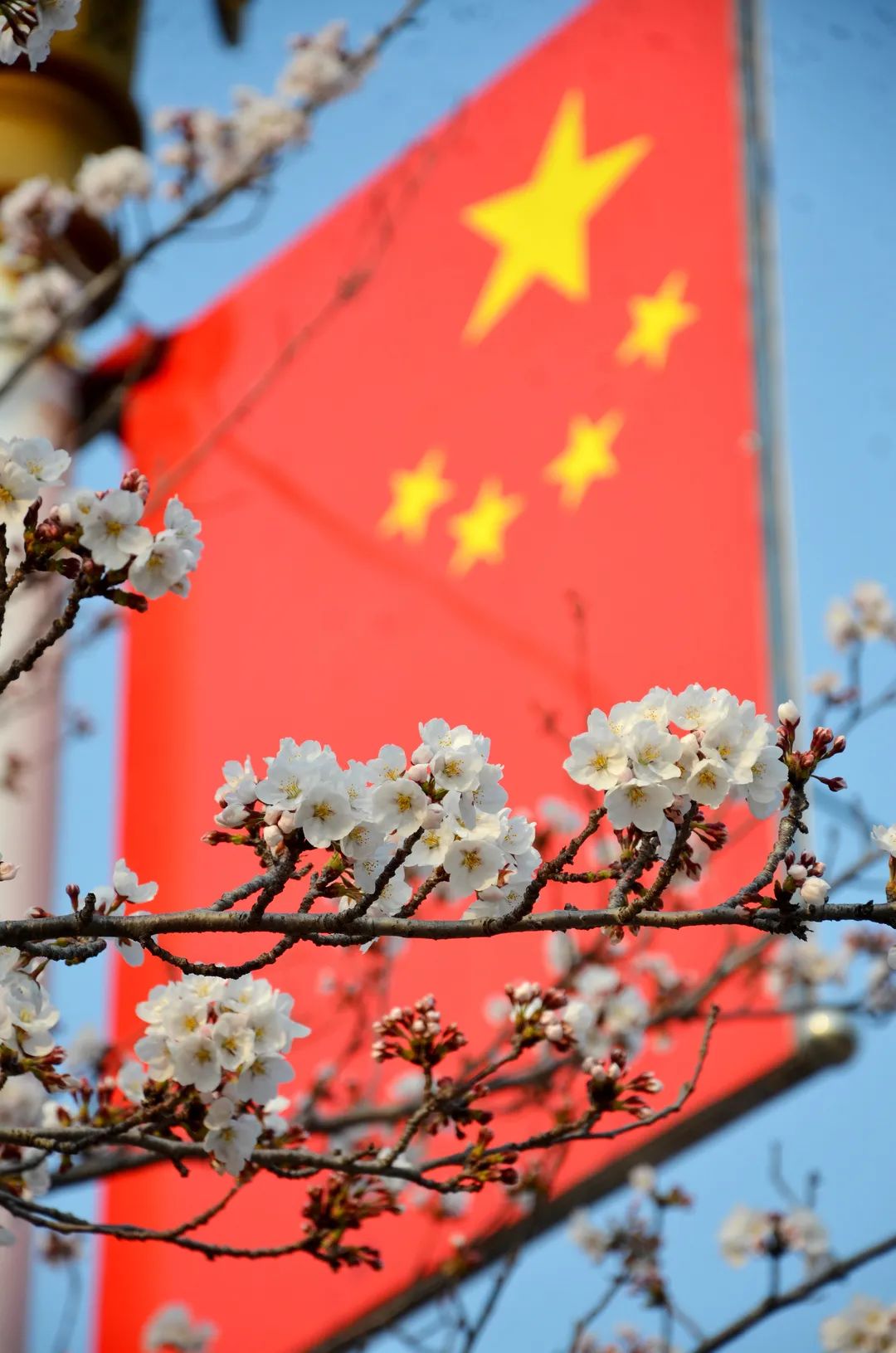 春暖花开论坛公告春暖花开论坛公告，新春启幕，共赴知识盛宴