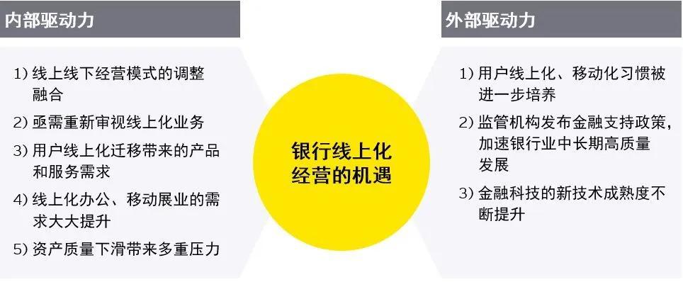 言教授的挑战，自我驱动的探索与鹧鸪哨的神秘-第2张图片