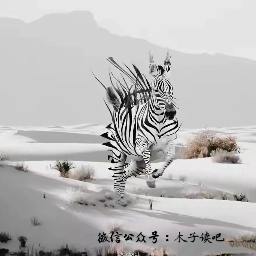 西游圣徒，一段传奇的修行之旅-第1张图片