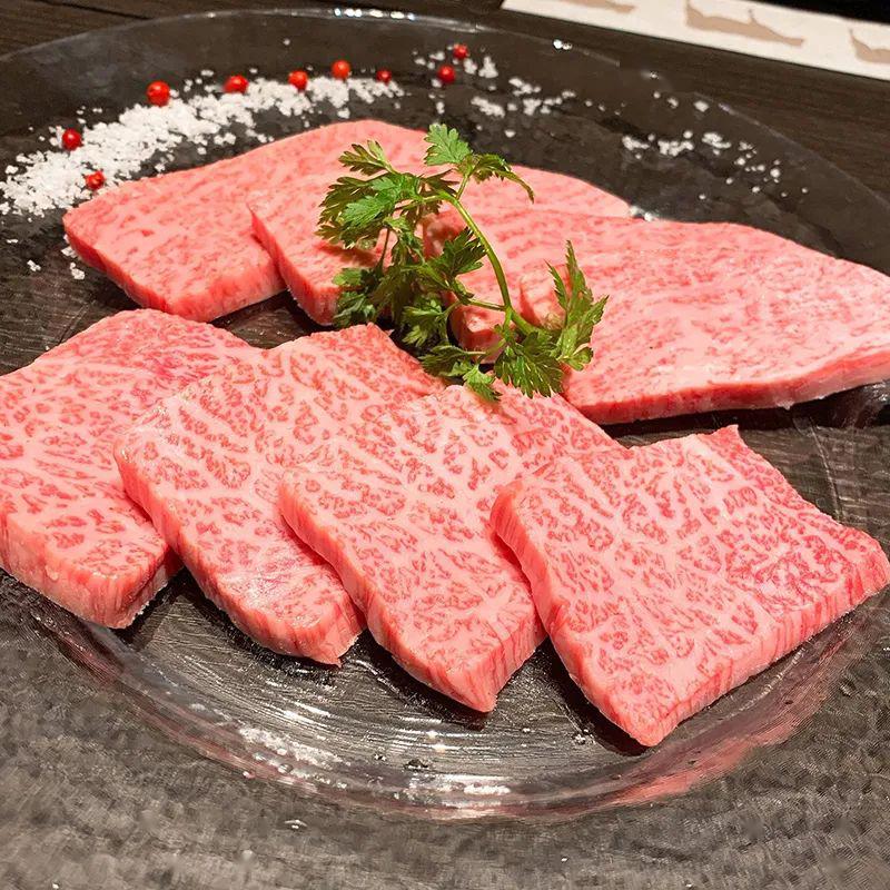 犀牛肉犀牛肉的独特魅力与文化内涵-第3张图片