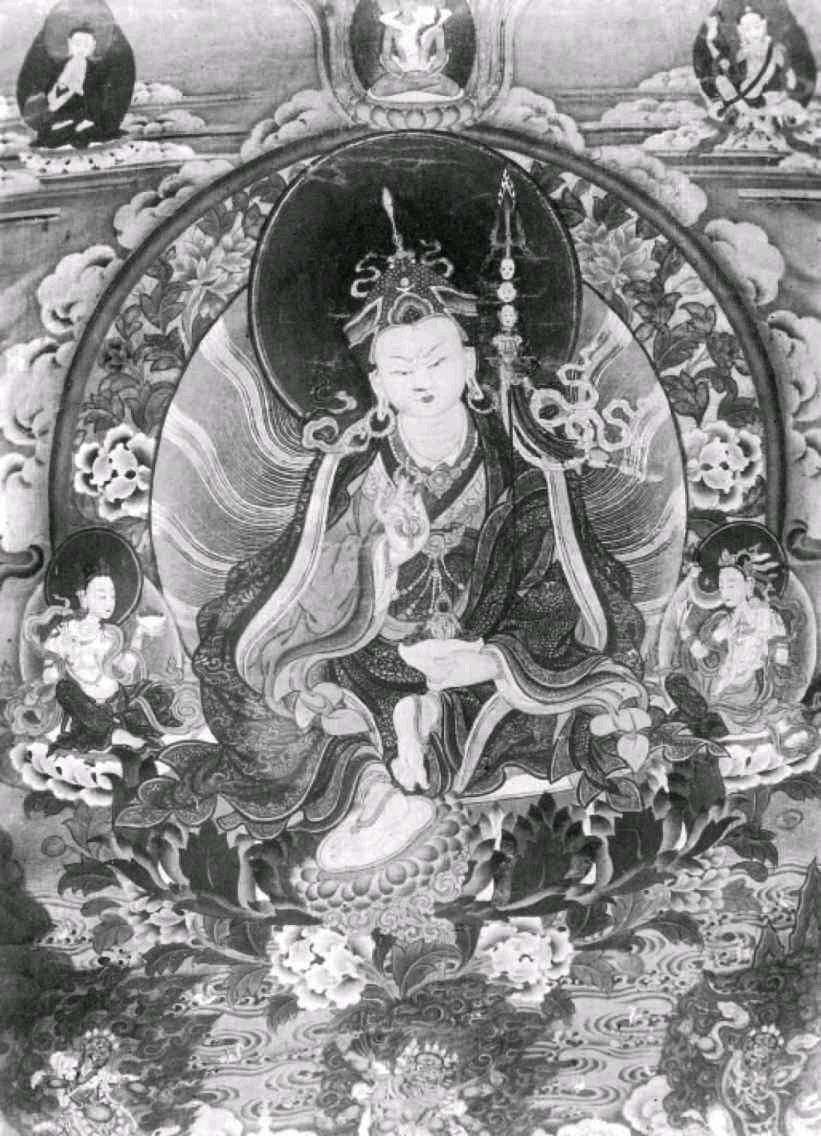 生取肉莲花生采肉莲的含义与解读-第2张图片