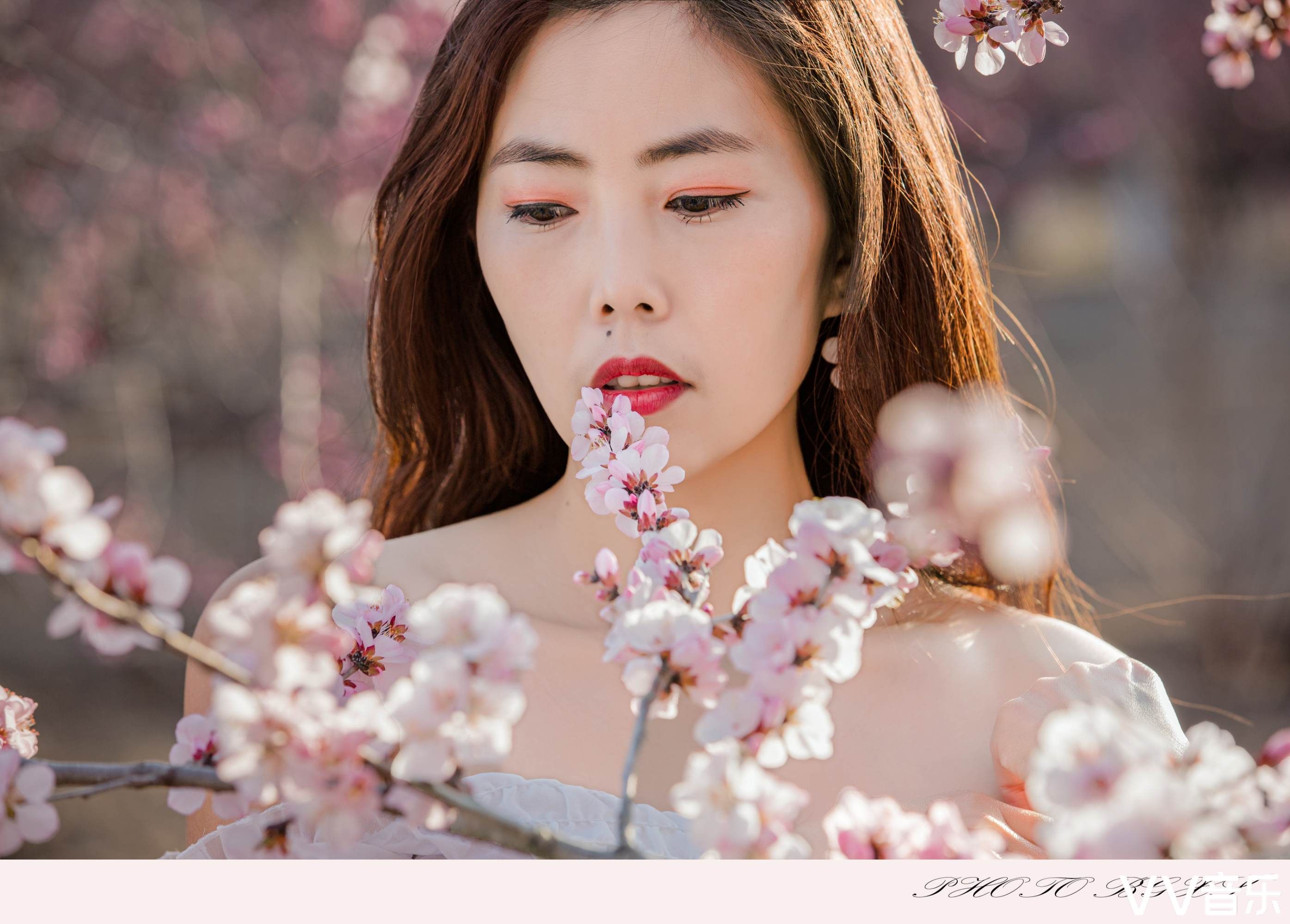 桃花在线观看，免费观看BD的魅力-第3张图片