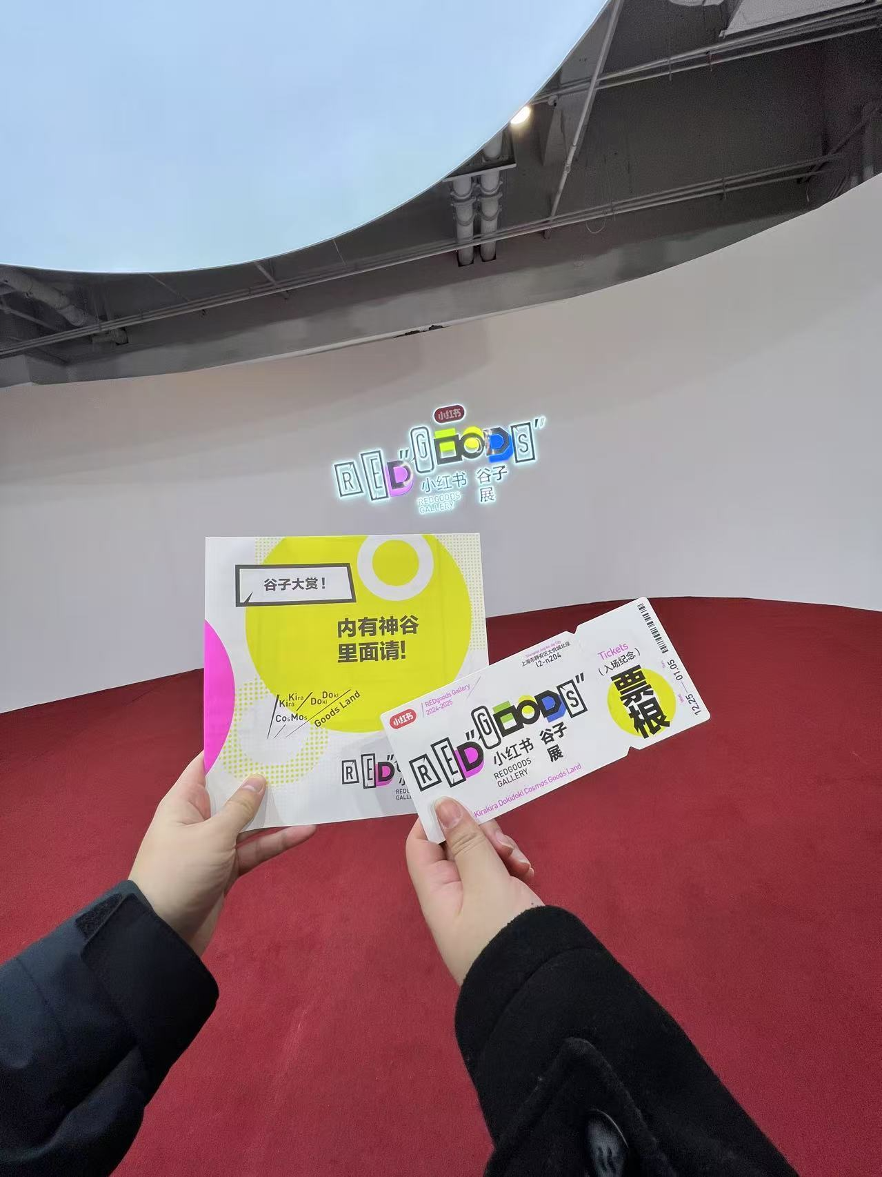香蕉视下载app最新版，探索与体验-第2张图片