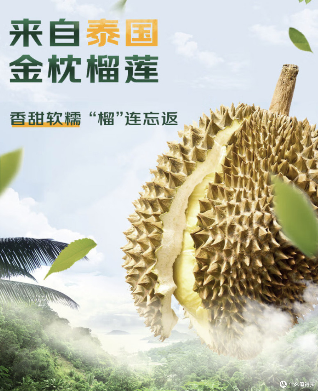 ll999.榴莲app7.3.6探索ll999.c榴莲app的魅力之旅-第2张图片
