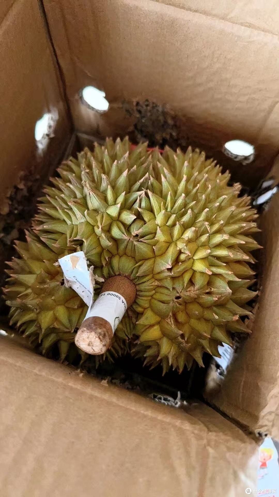 靠比较软件下载app榴莲比较软件与短视频软件大全，榴莲的独特魅力-第2张图片