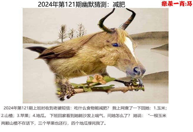 三期内必开一期期准管家婆精准预测，三肖三码，期期精准的奥秘-第3张图片