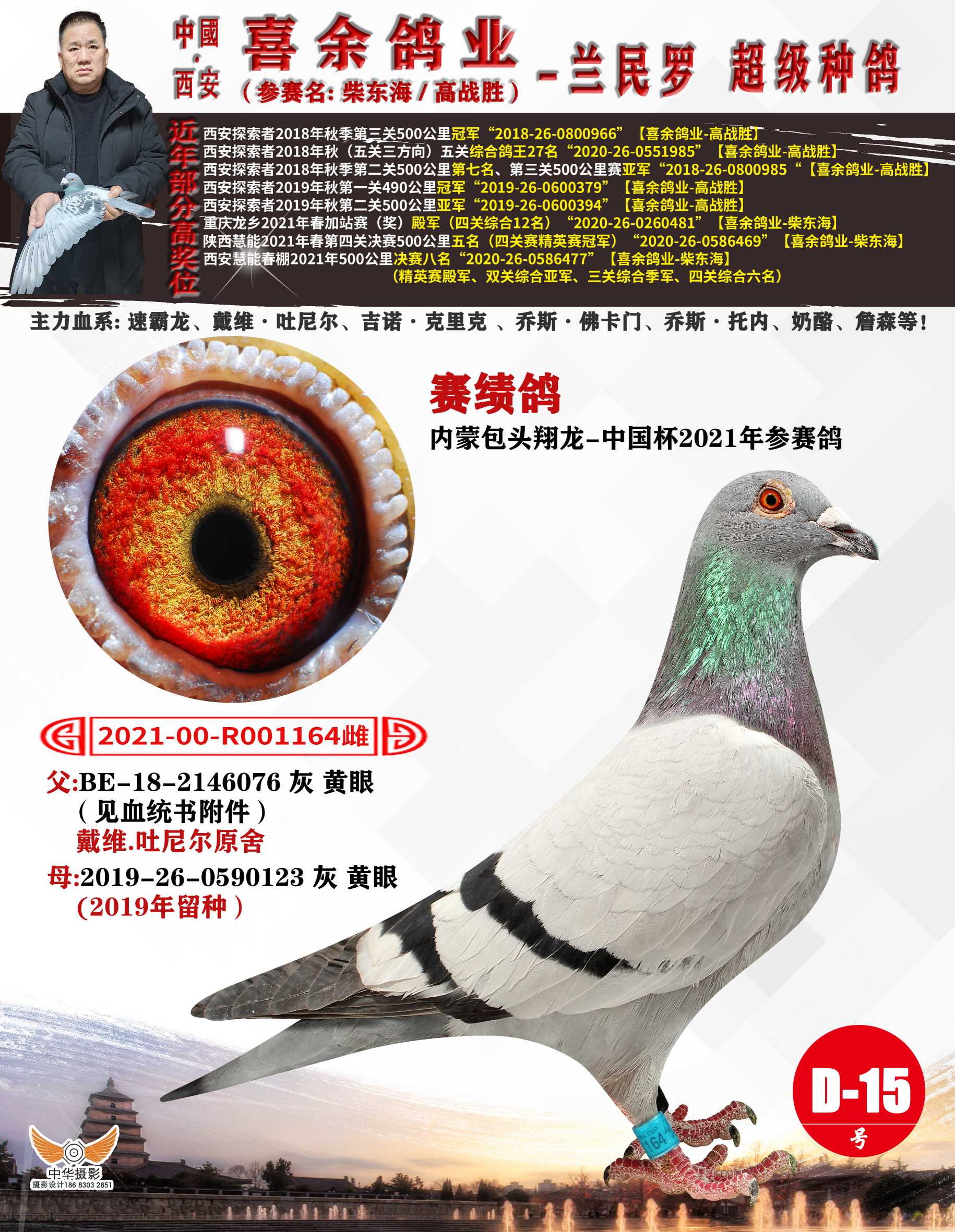 天南铜都赛鸽中心青年棚2021，青春的翅膀，翱翔于赛鸽的天空-第3张图片
