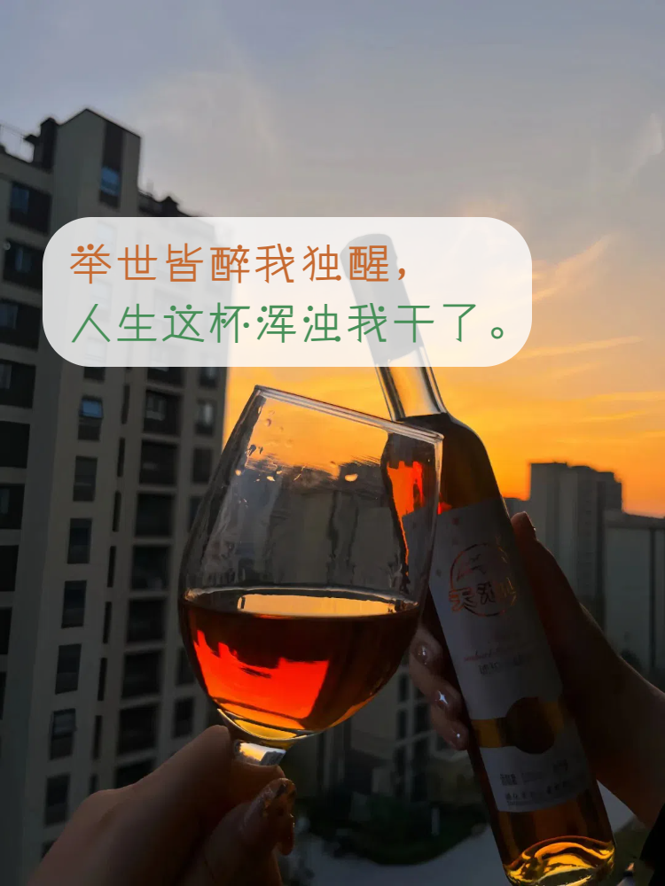 美妙人生下载，探索人生的精彩与无限可能-第2张图片