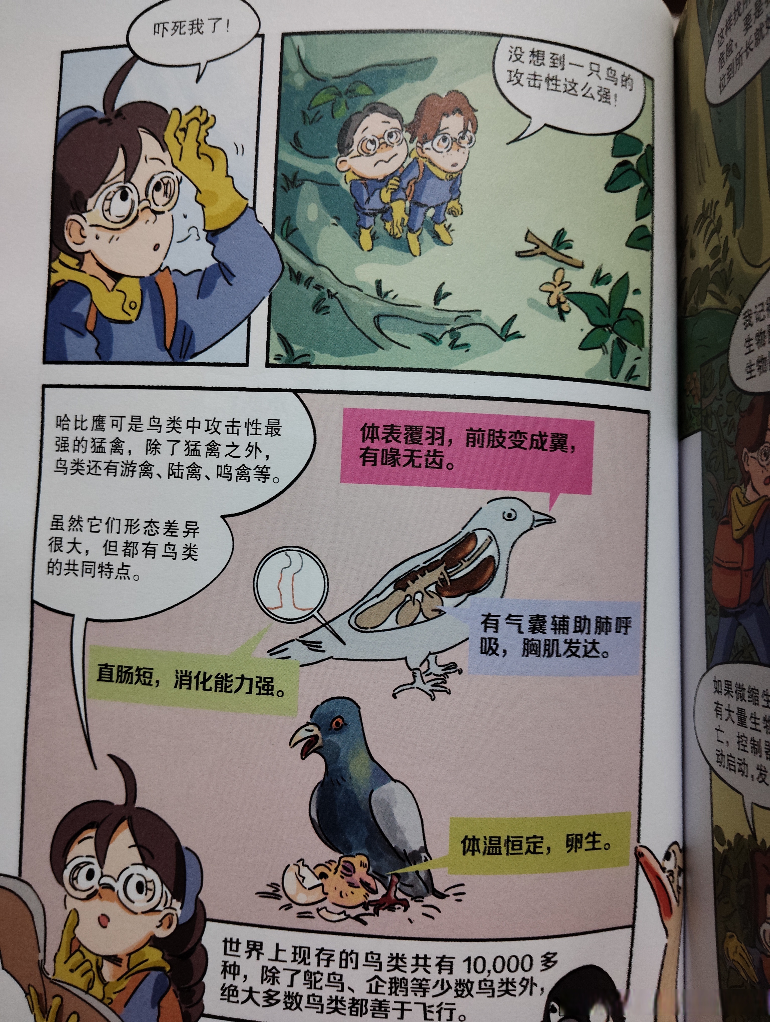 漫游二觉叫什么漫游二觉，探索未知的冒险之旅-第2张图片