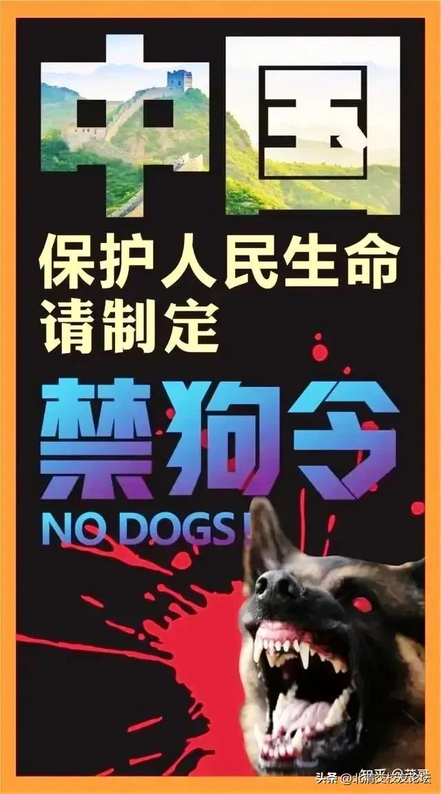 母狗能锁到人吗图片母狗与人类安全，探究与误解的界限-第3张图片