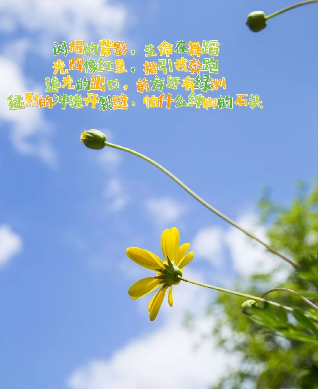 种子天堂种子天堂，生命的绿洲-第2张图片