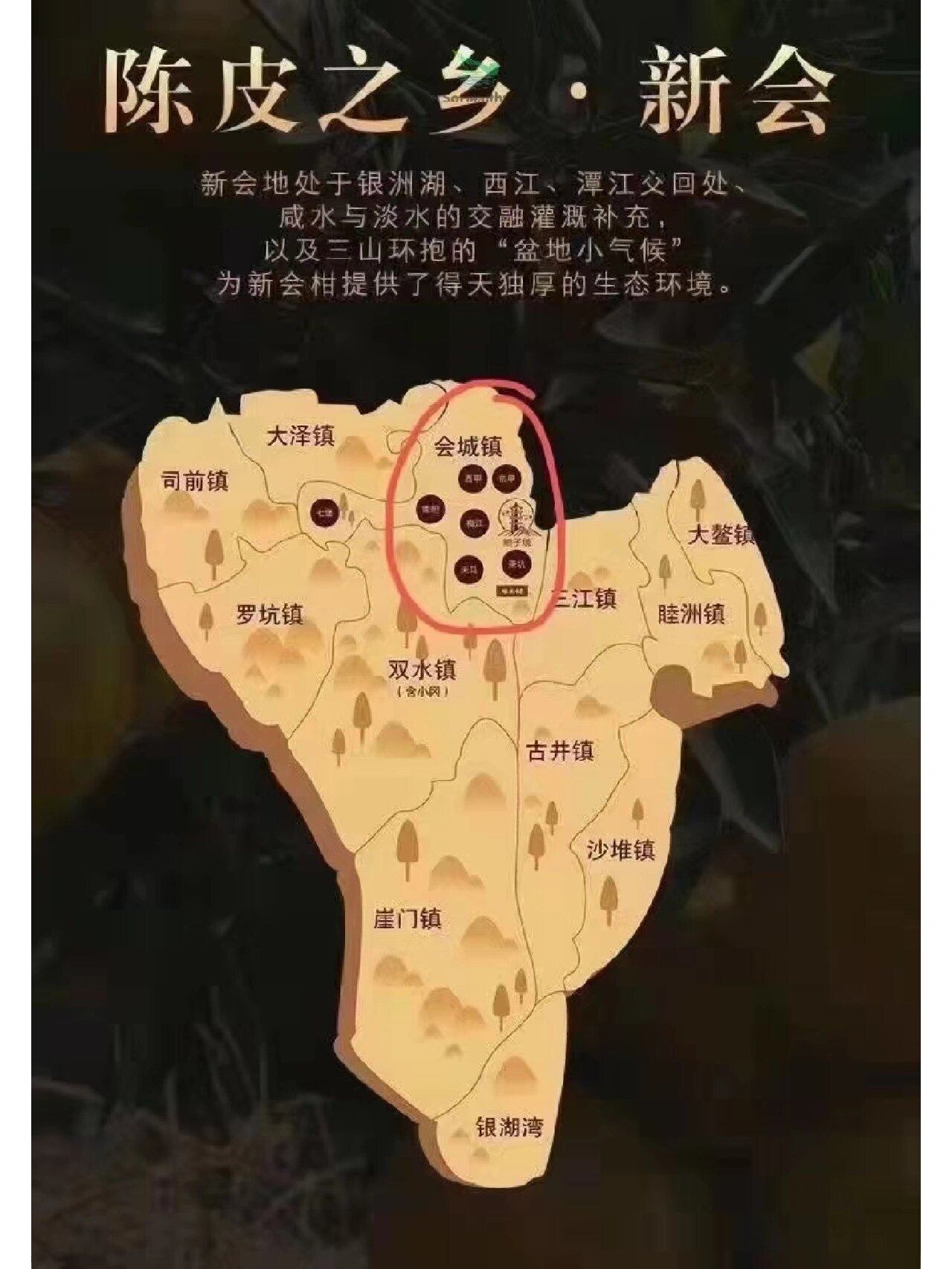 亚洲一线产区二线产区区别在哪儿亚洲一线产区与二线产区，差异与特点