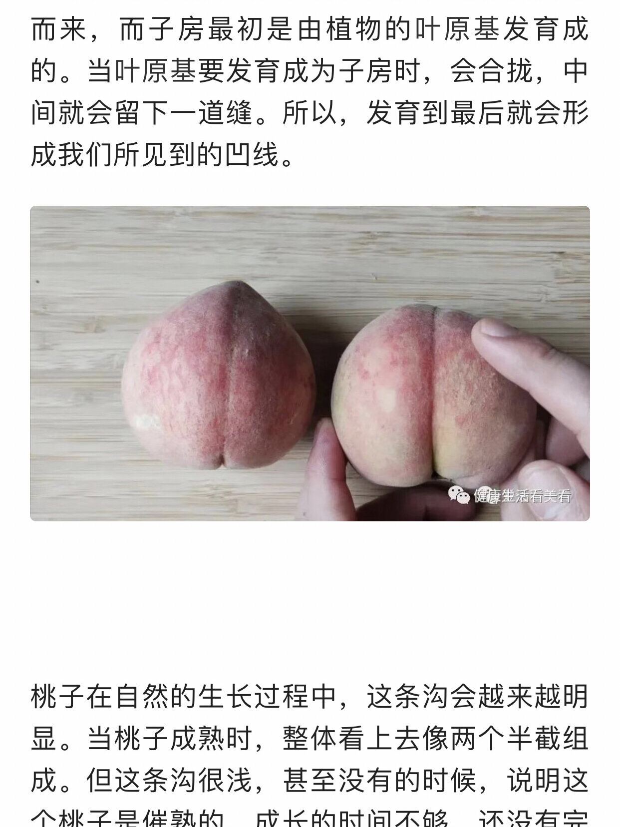 儿子故意让我看他手机儿子的成长与我的见证-第2张图片