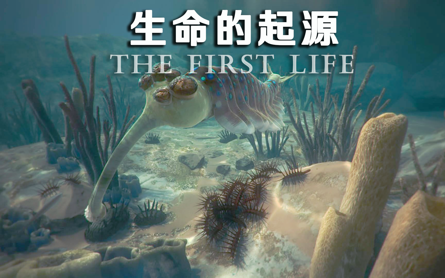 万灵启源万灵启源，探寻生命之源的奥秘