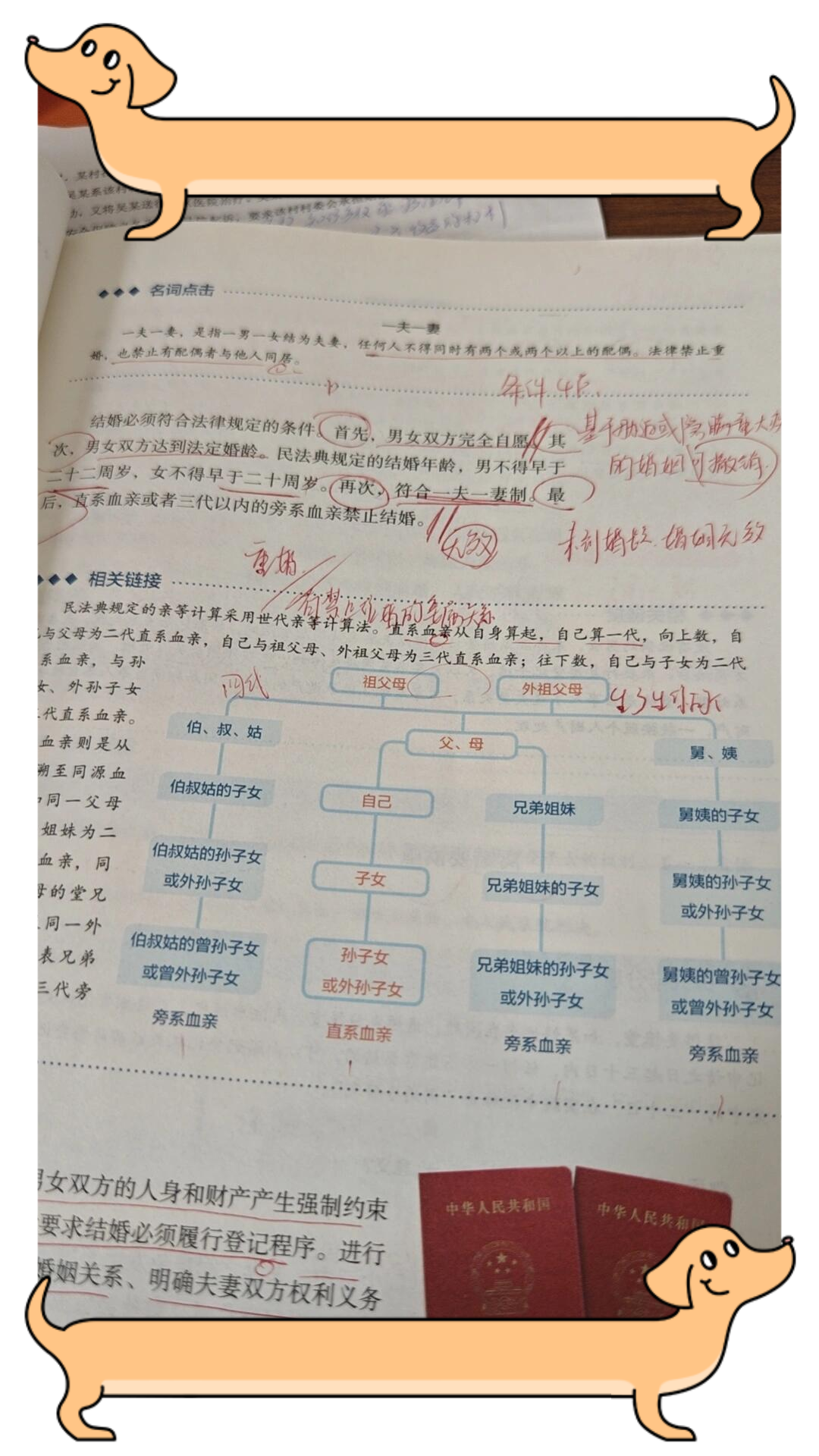 叔叔与侄儿媳妇的亲属关系解析-第2张图片