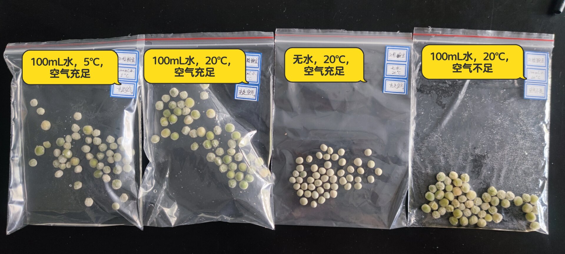 以身试教，一位生物老师的勇敢实验-第2张图片