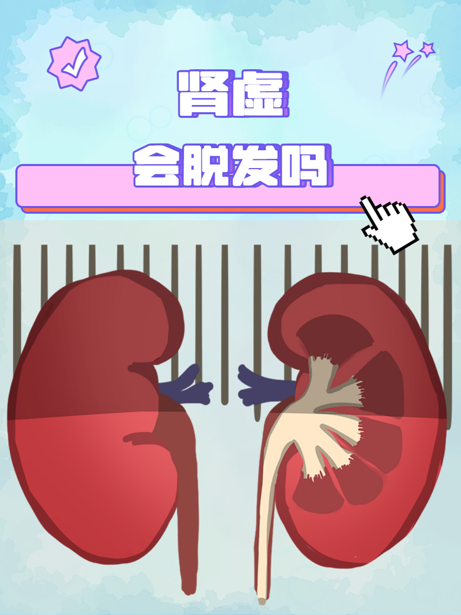 肾虚十连软件下载肾虚调理新选择，肾虚十连APP下载指南-第2张图片