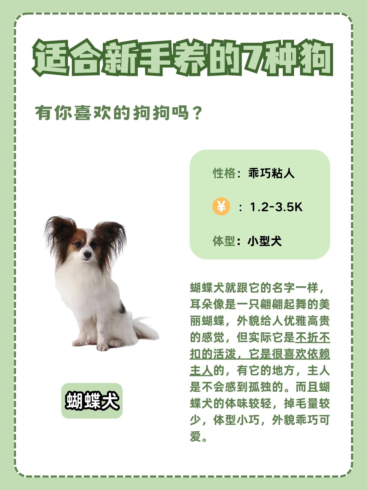 狗的速度，快如闪电，身形又大又烫的奇妙之处-第1张图片