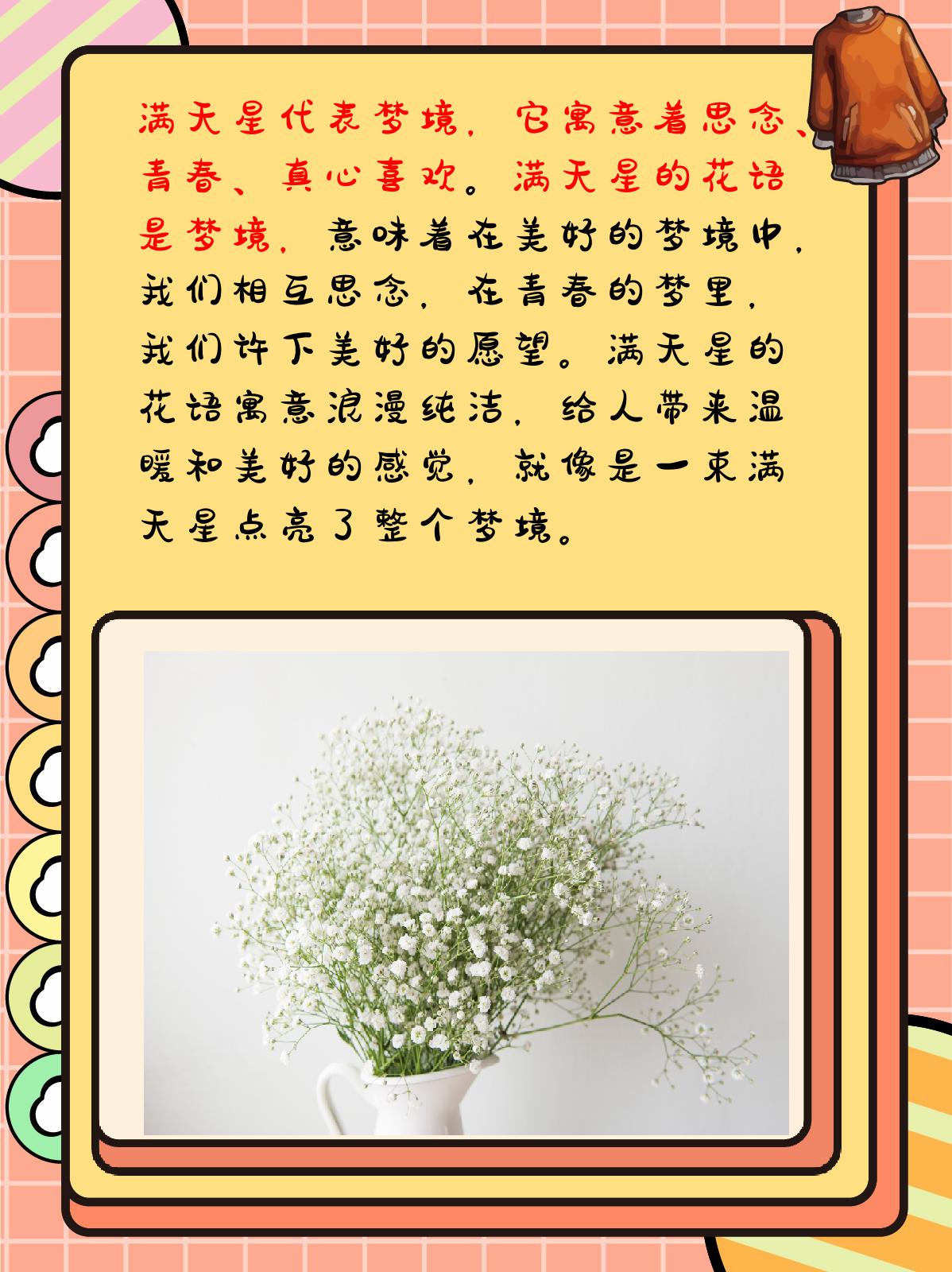 酒店服务生满天星法版免费观看五十一酒店服务生的满天星，法版免费观看的独特体验