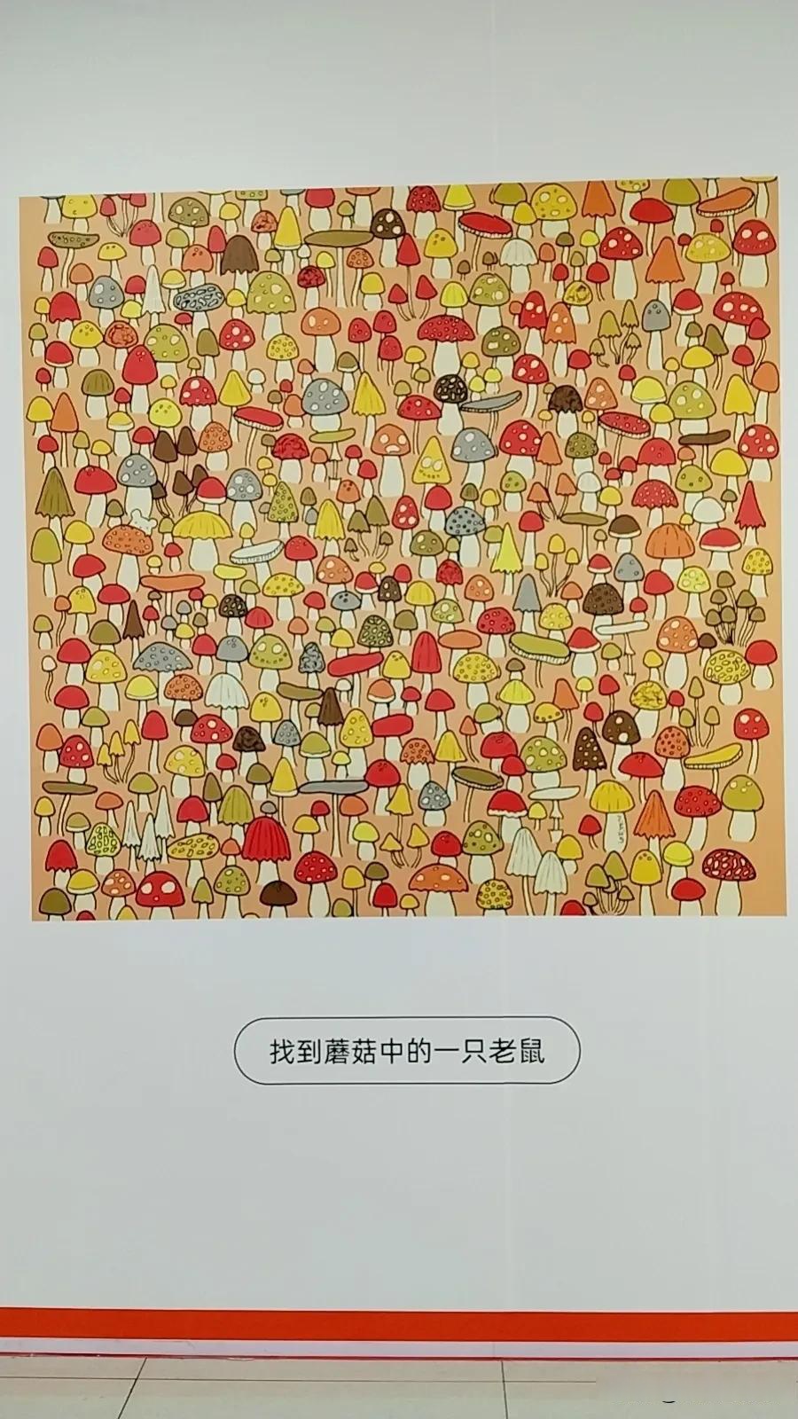 大角刷新大角刷新，探索未知的视觉之旅