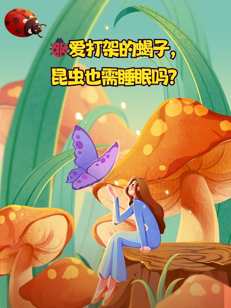 探索爱之奥秘——关于18P的探讨-第2张图片