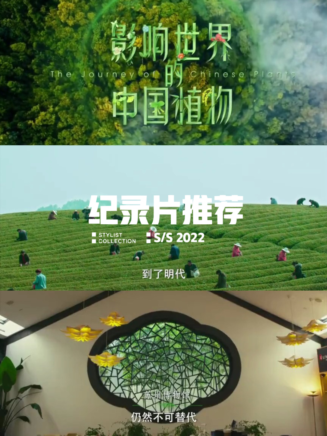 2012年热门事件回顾，中文字幕视频的传播与影响-第3张图片