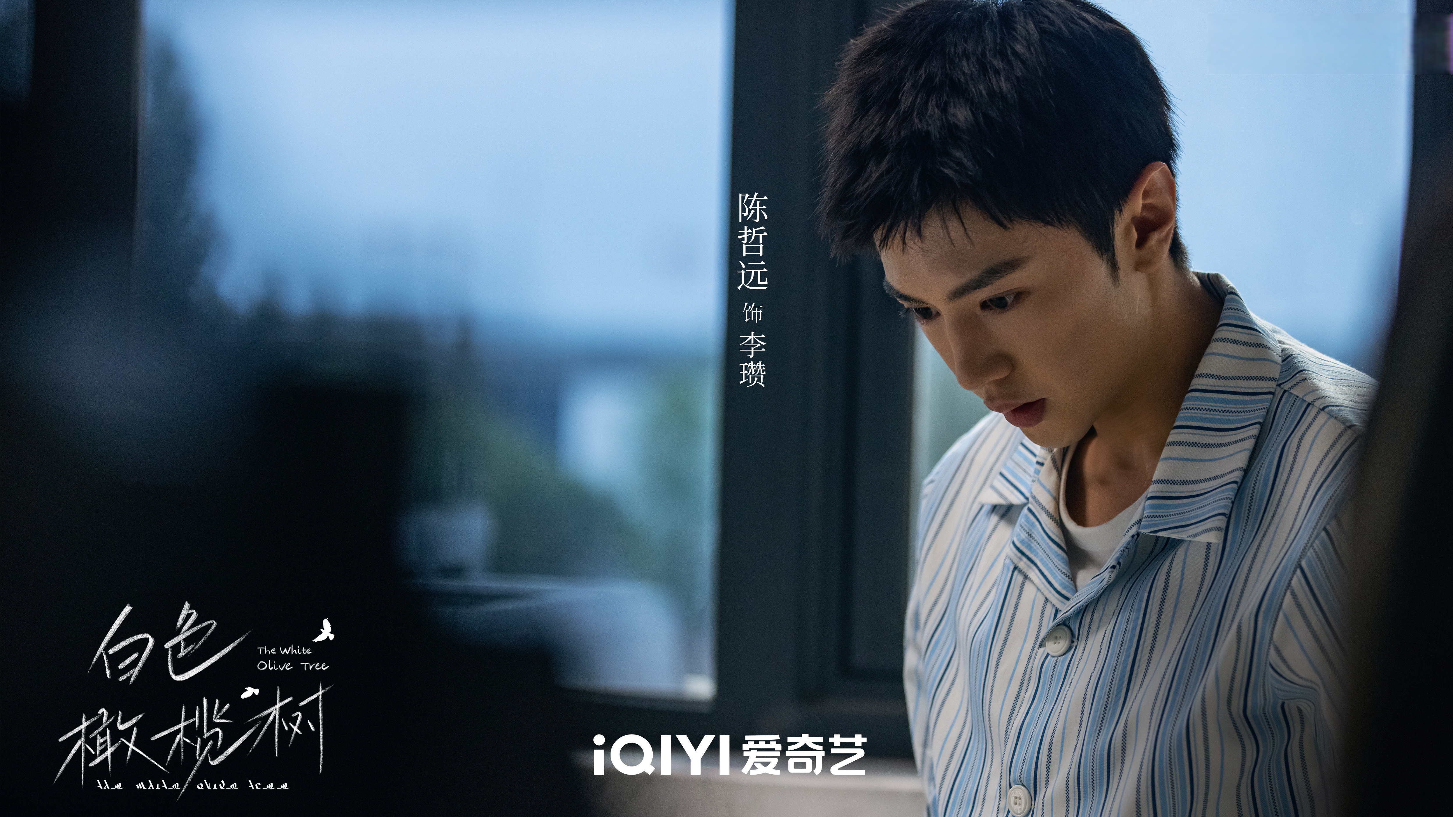 叶非墨与温小暖的密闭空间之约
