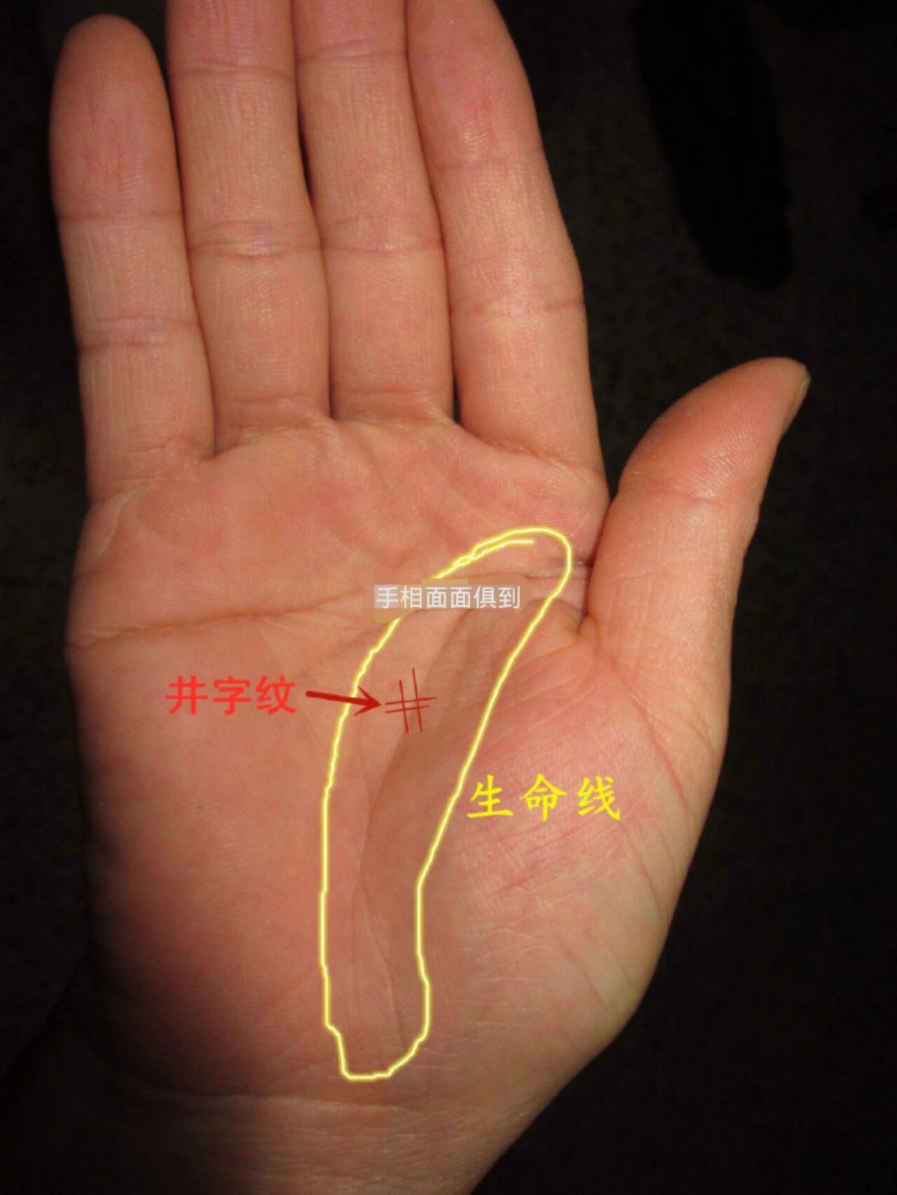生命线攻略静夜生命线攻略，探索与成长的智慧指南