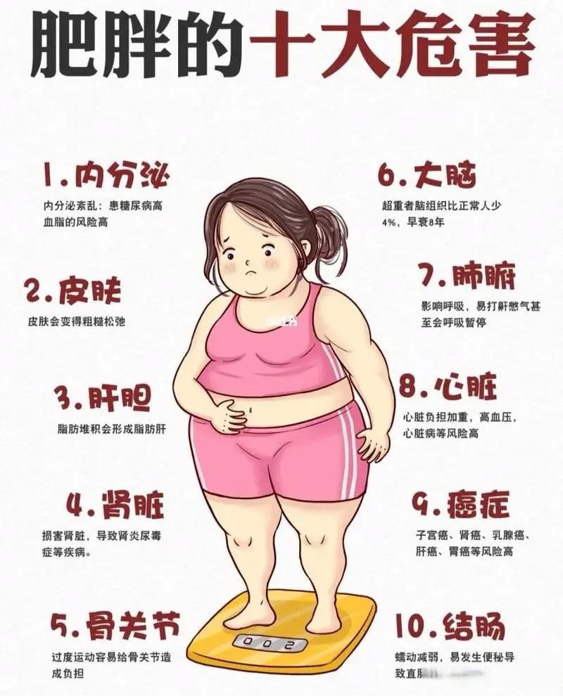 瘦身女性的魅力，为何瘦的女的具有吸引力？-第1张图片