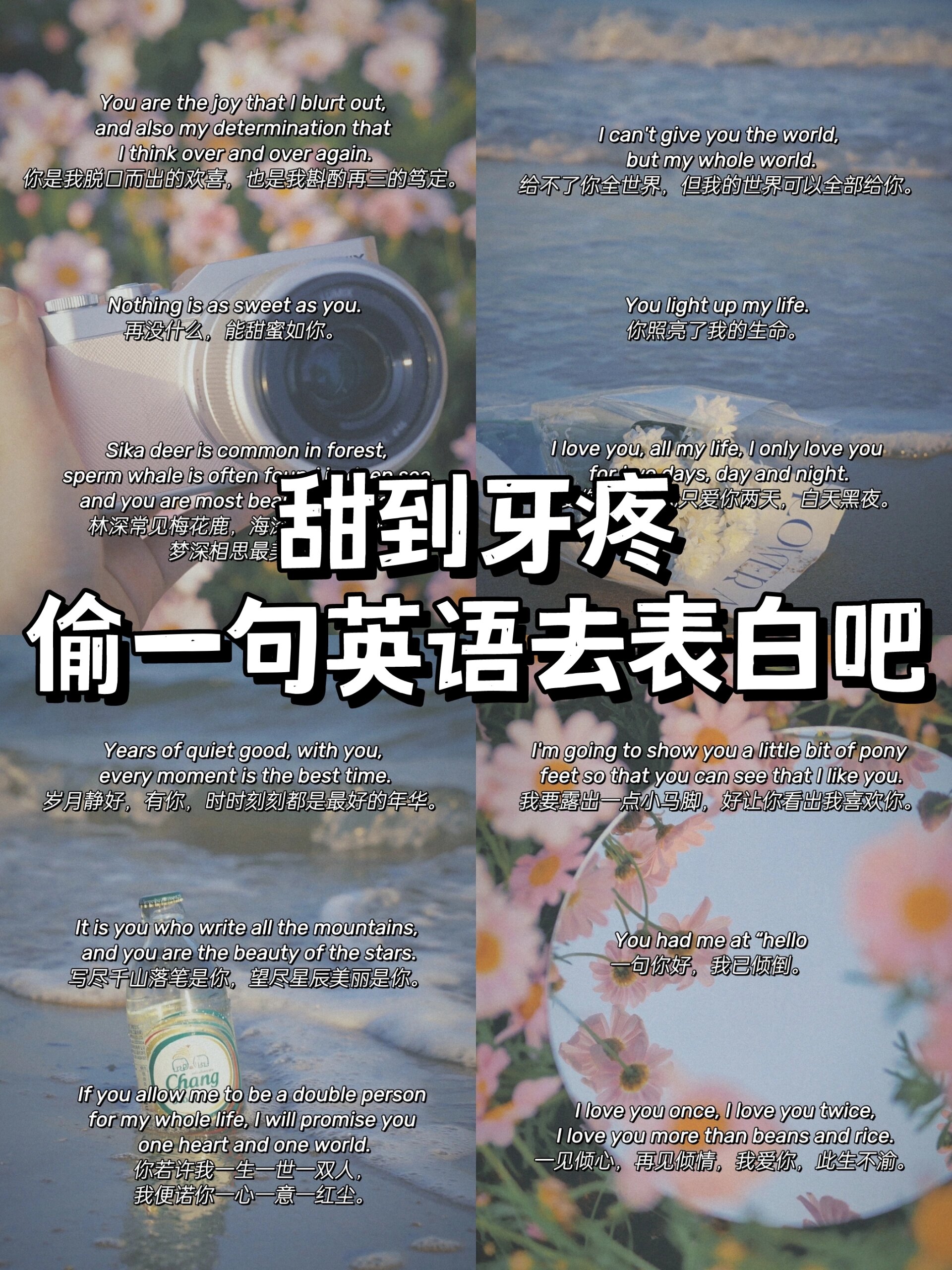 晚上英语老师是你的o别急，晚上英语老师就是你的人-第2张图片