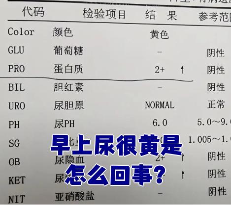 又黄又刺激的食品的菜单远离不良内容，珍爱健康生活——谈又黄又刺激色情大片的危害-第2张图片