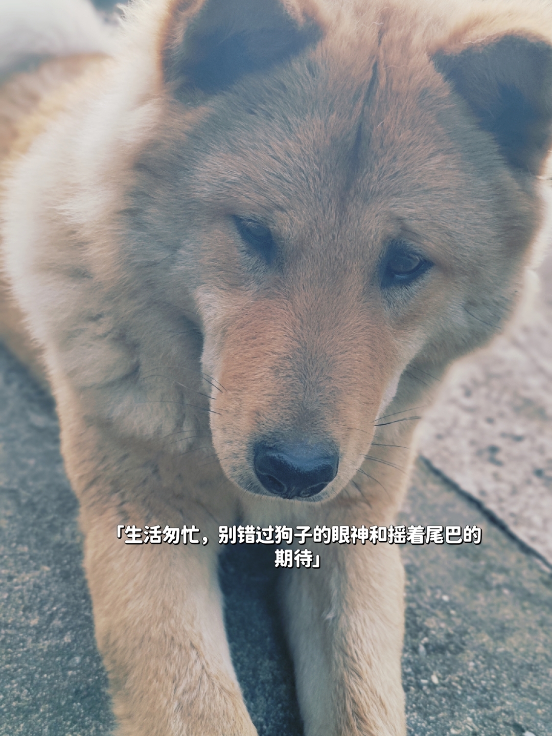 感受到它在里面动了吗感受生命之动