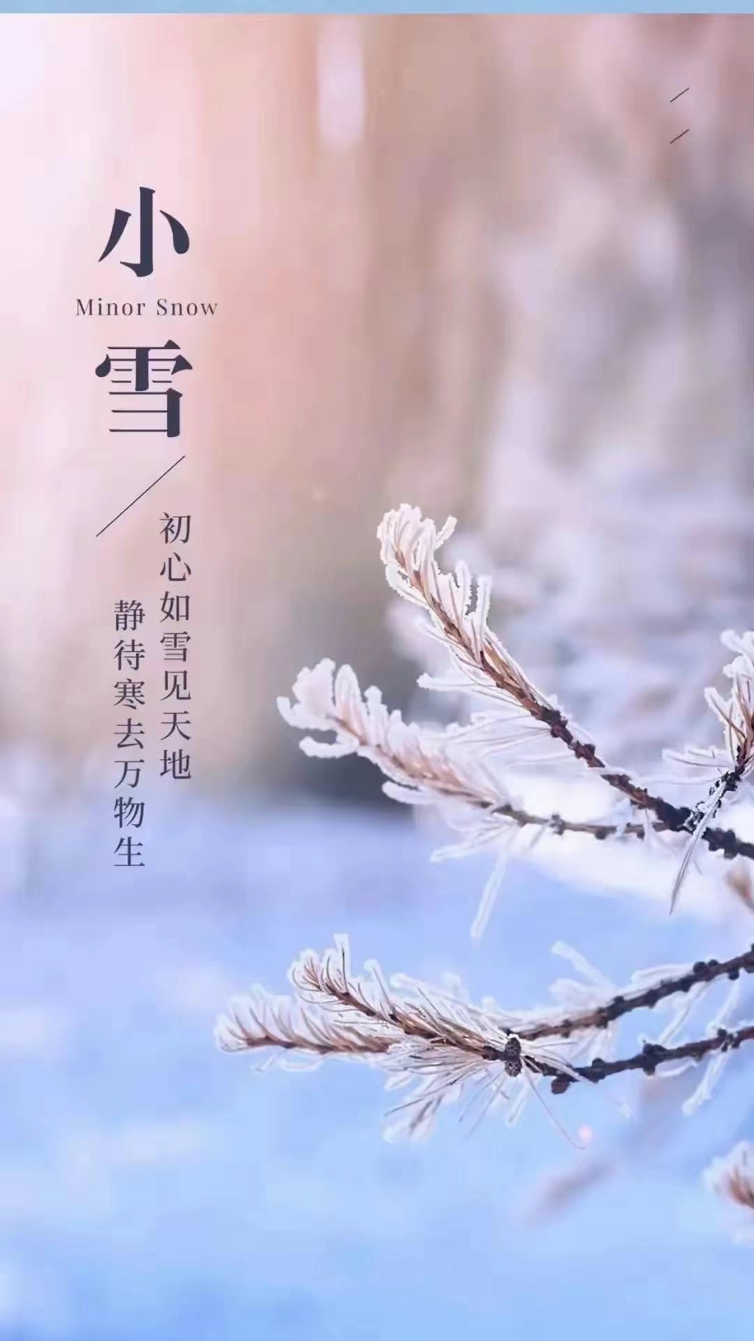 办公室揉弄小雪好舒服办公室小憩，轻揉小雪，舒适时光-第3张图片