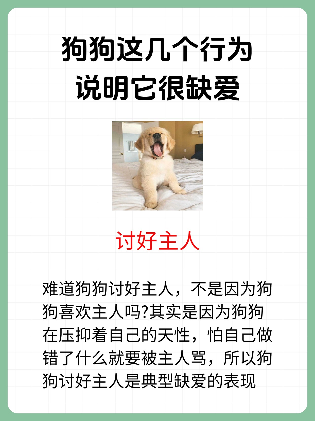 被自己家狗上瘾了怎么办视频面对与自家狗狗的过度依赖，如何克服被自己家狗上瘾的困扰？-第3张图片