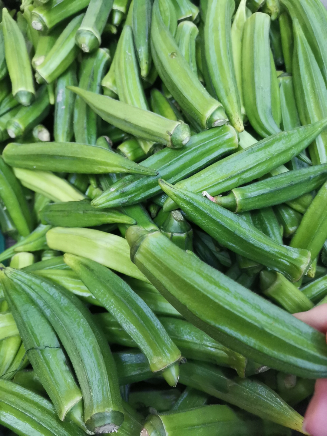草莓丝瓜榴莲秋葵五彩缤纷的味觉盛宴——草莓、丝瓜、榴莲与秋葵的奇妙之旅